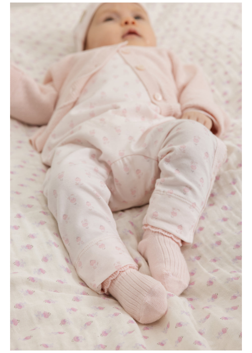 2-pk Newborn Socks Scallop Rosa