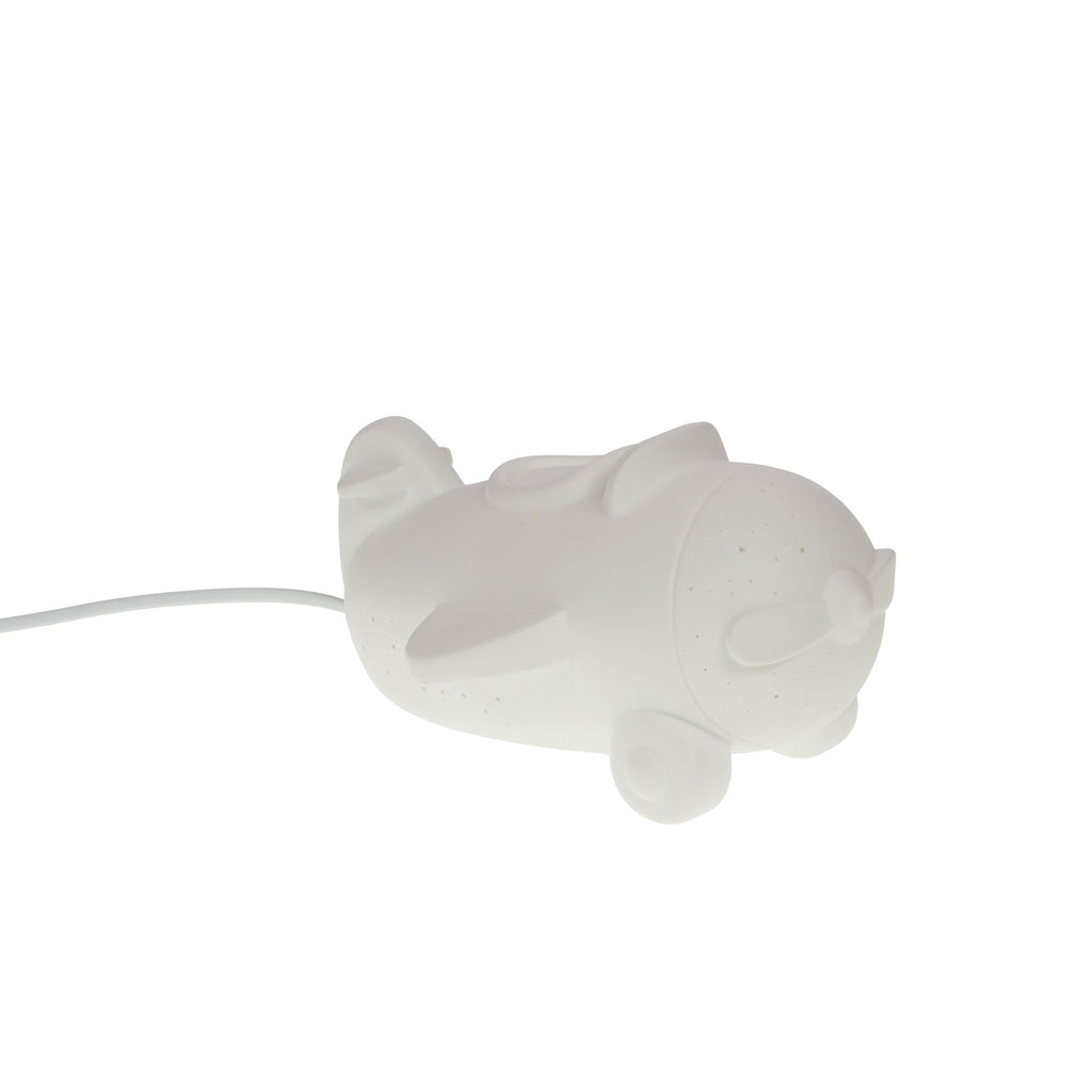 Nattlampe fly