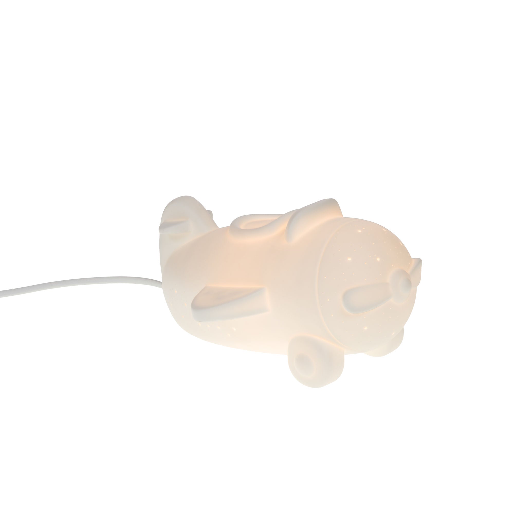 Nattlampe fly