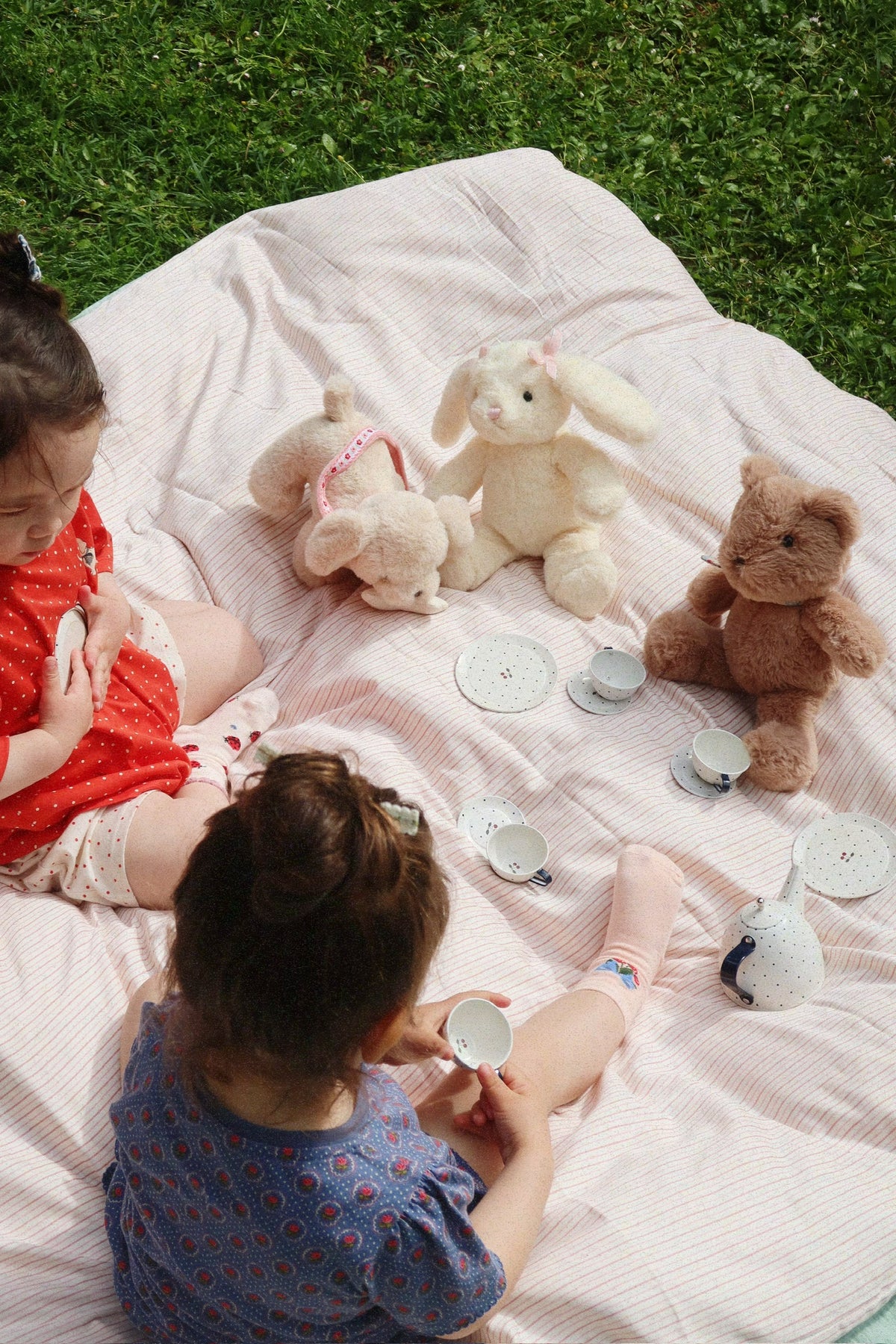 Tea Party Blue Dot