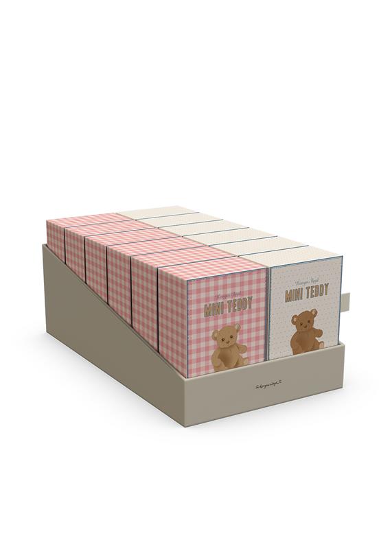 Tiny Teddy Box